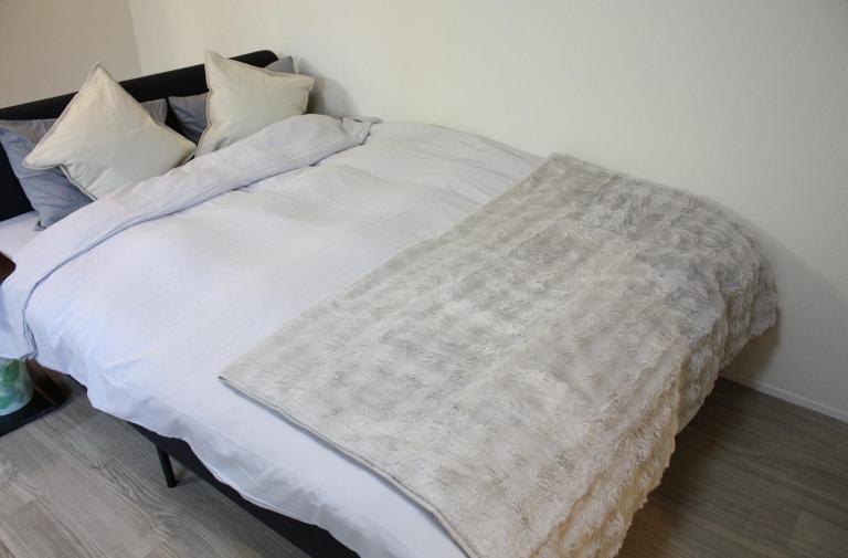 Jasmine House - Bed and Breakfast Tokio
