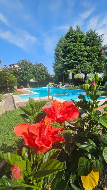 Casa Maria - B&B Manerba del Garda