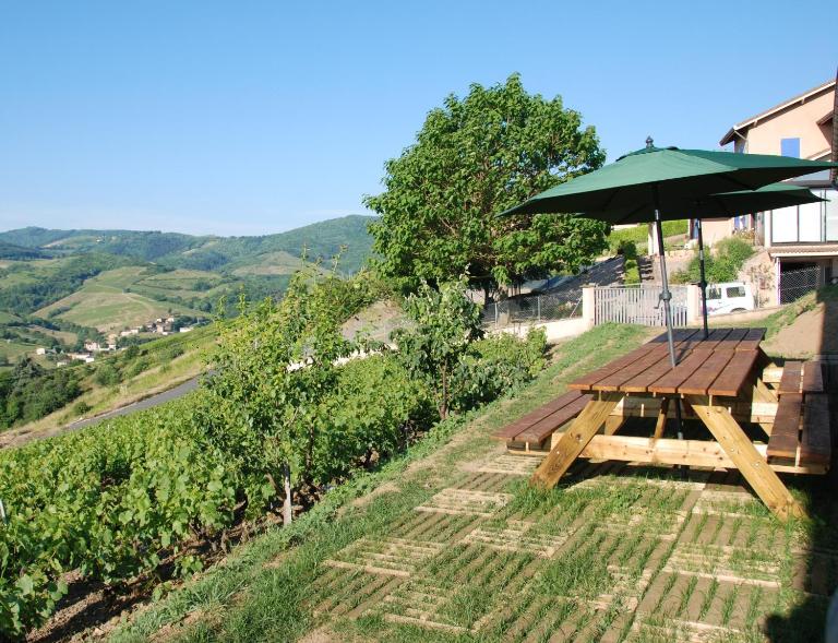 Domaine des Gardette - B&B Vaux-en-Beaujolais