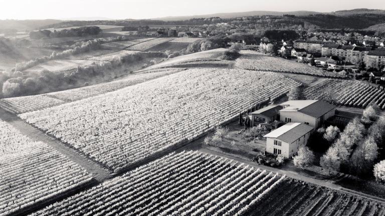 Weingut Freimuth - Ferienwohnung Geisenheim