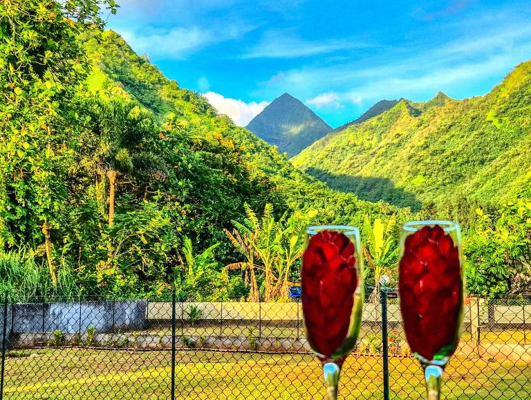 Teahupo'o Lodge Tahiti - Studio Tropical vue lagon et montagnes - B&B Teahupoo
