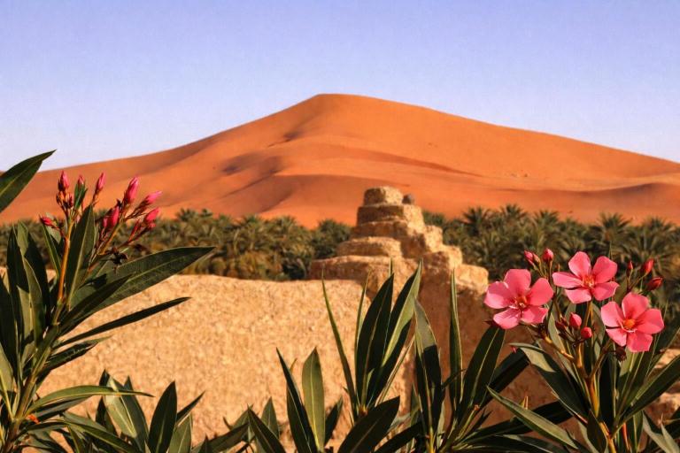 Auberge La Vallée des Dunes - Bed and Breakfast Merzouga
