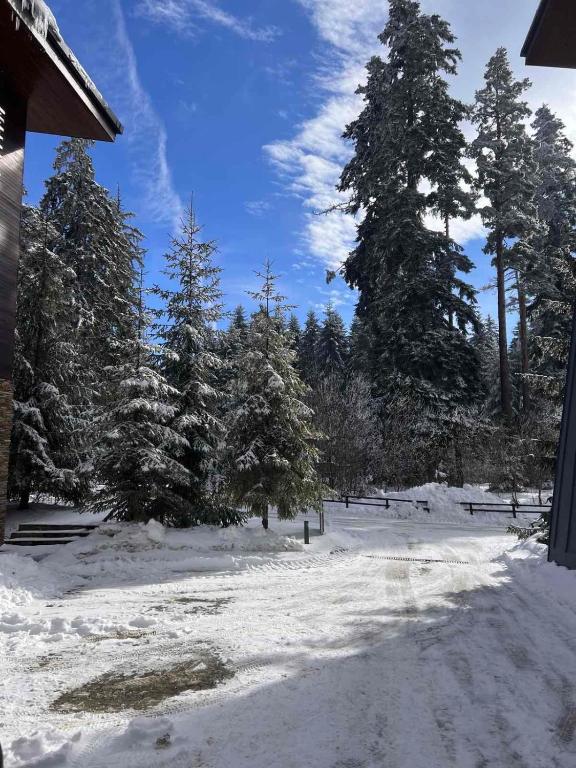 Lyra Forest Apartment - Chambres d'hôtes Borovets