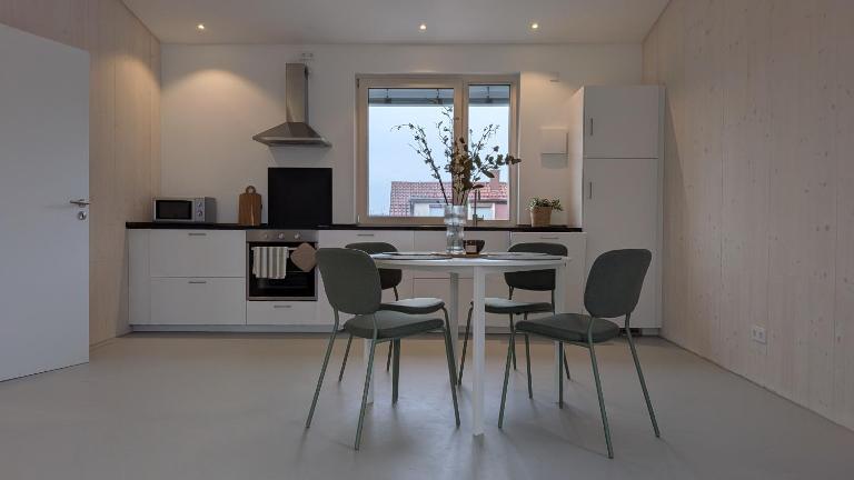 Ferienwohnung BI3 - B&B Wangen