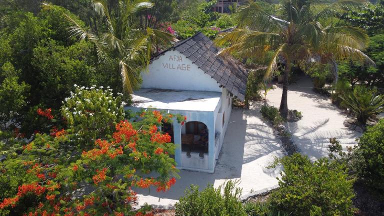 AFYA Village at the sea - Chambres d'hôtes Michamvi