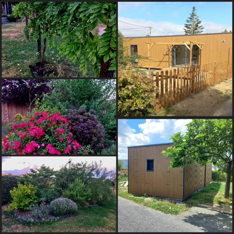 Cottage atypique en plein coeur des vignes - Chambres d'hôtes Saint-Lambert-du-Lattay