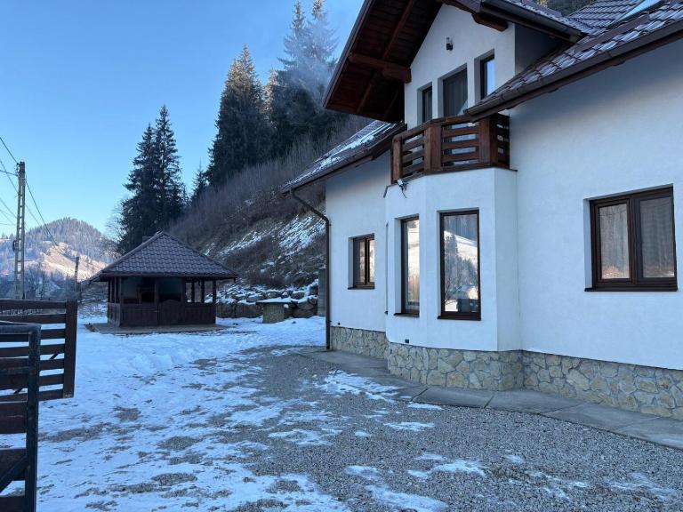 Casa Diaconu - B&B Fundu Moldovei