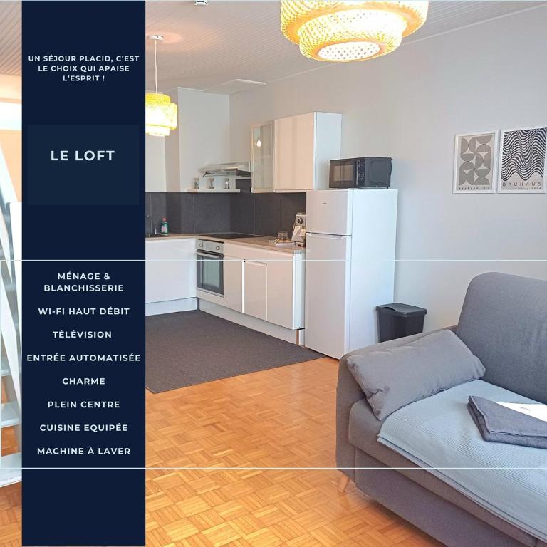 Le Loft - En Plein Centre Très Spacieux - Chambres d'hôtes Beauvais