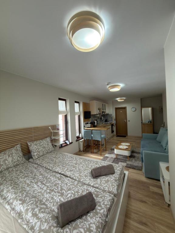 Green Line Studio Appartment Pamporovo - B&B Pamporovo