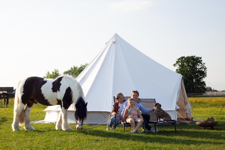 Glamping met paarden - Ferienwohnung Nieuwerkerken