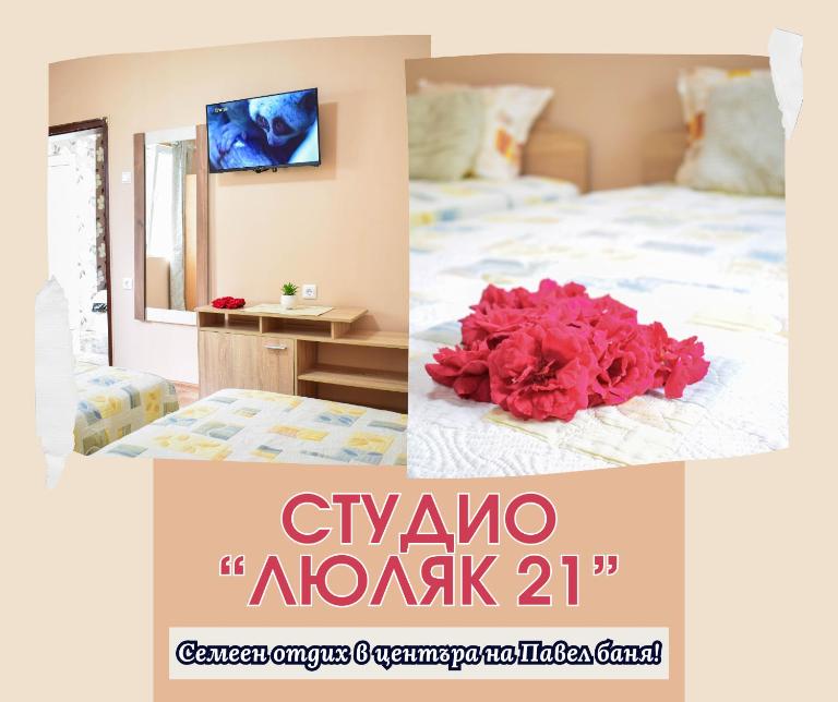 Студио "Люляк 21" - B&B Pavel Banya