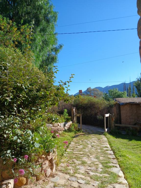 Cabaña Sol de Tilcara - Bed and Breakfast Tilcara
