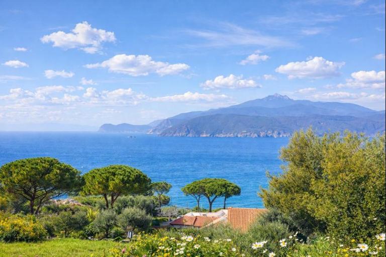 LE MUSE APARTMENTS - Elba Affitti - Chambres d'hôtes Capoliveri