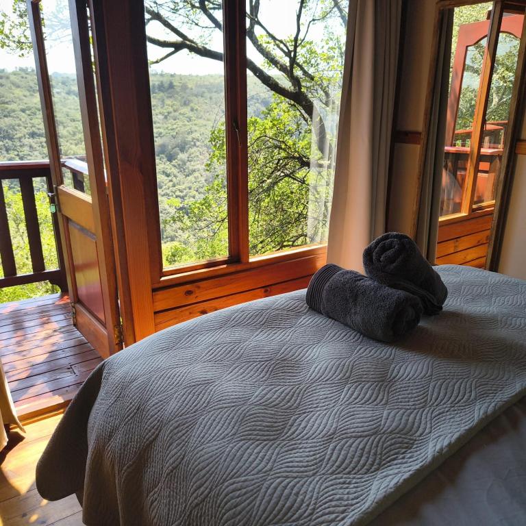 Forest Edge Hideaway -Six on Imbali - Chambres d'hôtes George