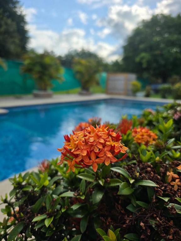 Cabañas la Familia - B&B Nueva Gorgona