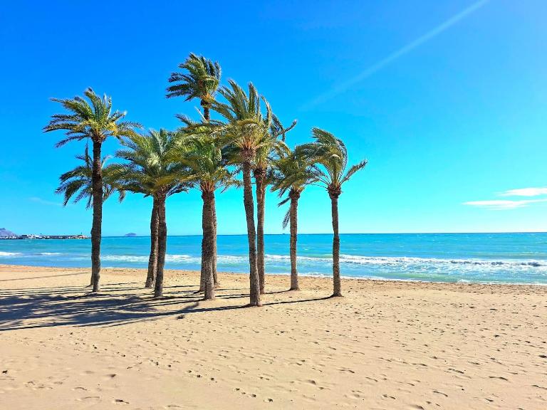Torrevieja CityCenter LocosBeach 50m Exclusive Apartment - B&B Torrevieja