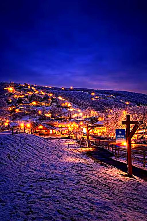 Beech Mountain Ski Studio - Fireplace - Fall & Ski Season - Bed and Breakfast Beech Mountain