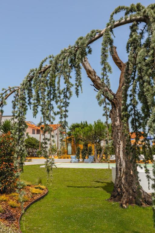 Almaa da Ria - Ferienwohnung Ílhavo
