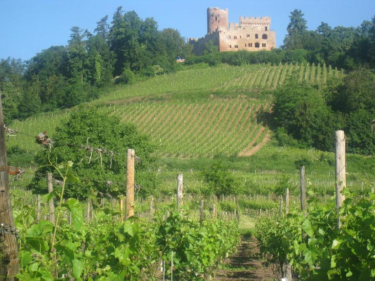 Gite MUSCAT en Alsace sur la route des vins - B&B Kintzheim