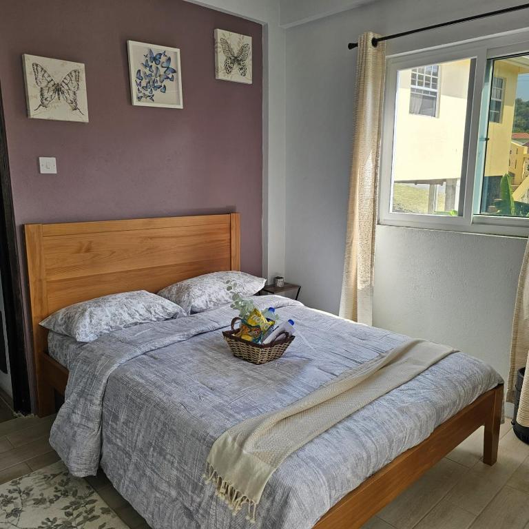 Casa de los 3 Companeros - Ferienwohnung Grande Rivière