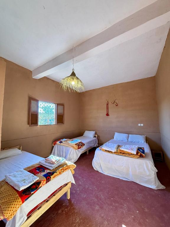 Camping Les Palmeraies - Oasis Escape Tagounite - Chambres d'hôtes Tagounite