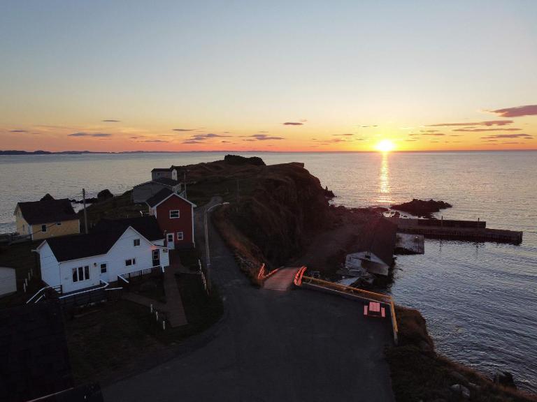 The Moose Twillingate Island - B&B Twillingate