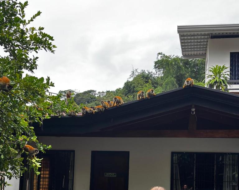 Casa Marisol - B&B Quepos