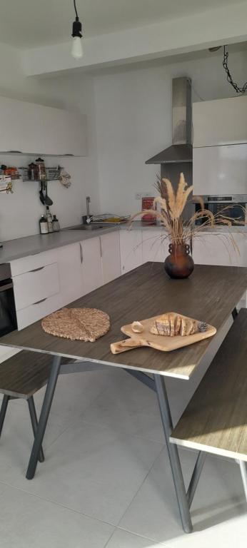 Villa Bleue Terre Sainte Front de mer - B&B Saint-Pierre