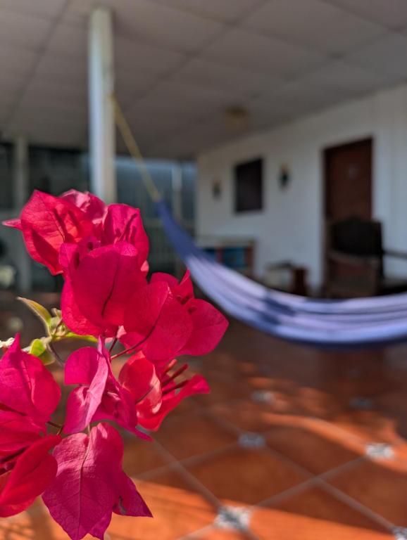 Casa Liz - Bed and Breakfast Managua