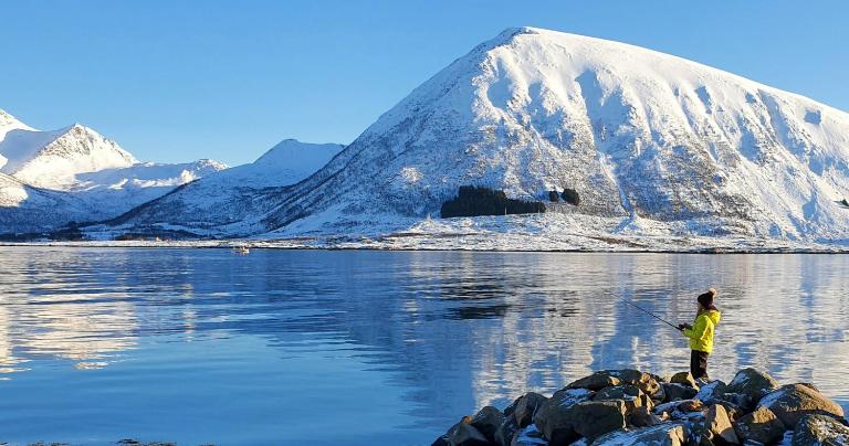 Lofoten Lodge - Live like the locals - Chambres d'hôtes Barstrand