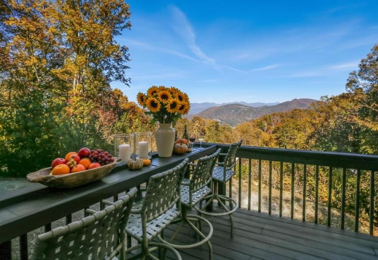 12 mins to DT Asheville & Biltmore, Mt View - B&B Asheville