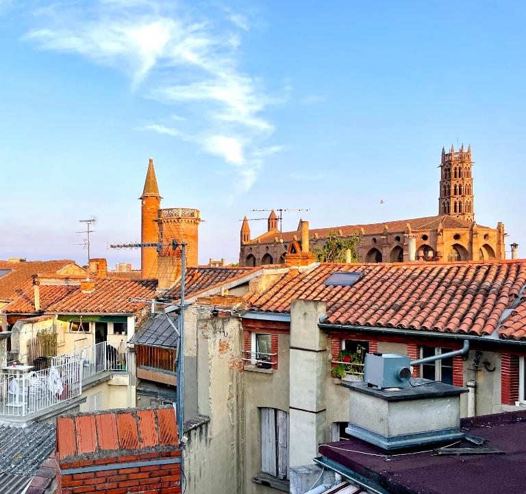 Petit Nid sous les Toits de Toulouse - Bed and Breakfast Toulouse