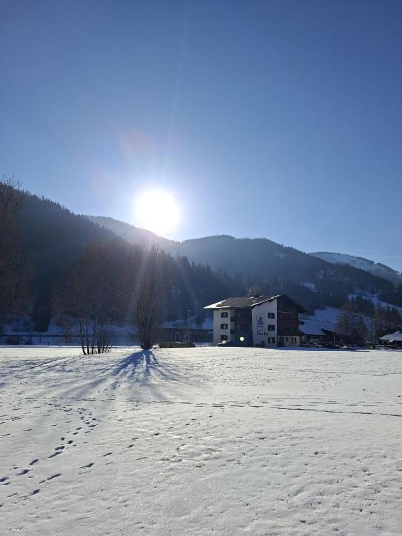 Apartments Edenhof - B&B Bad Kleinkirchheim