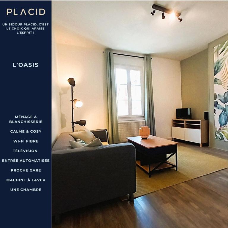 L'Oasis-T2 spacieux-Wifi-TV-Proche Gare - B&B Tours