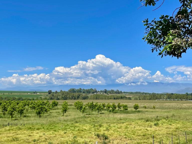 Bee’s Knees Cottage - B&B Winterton