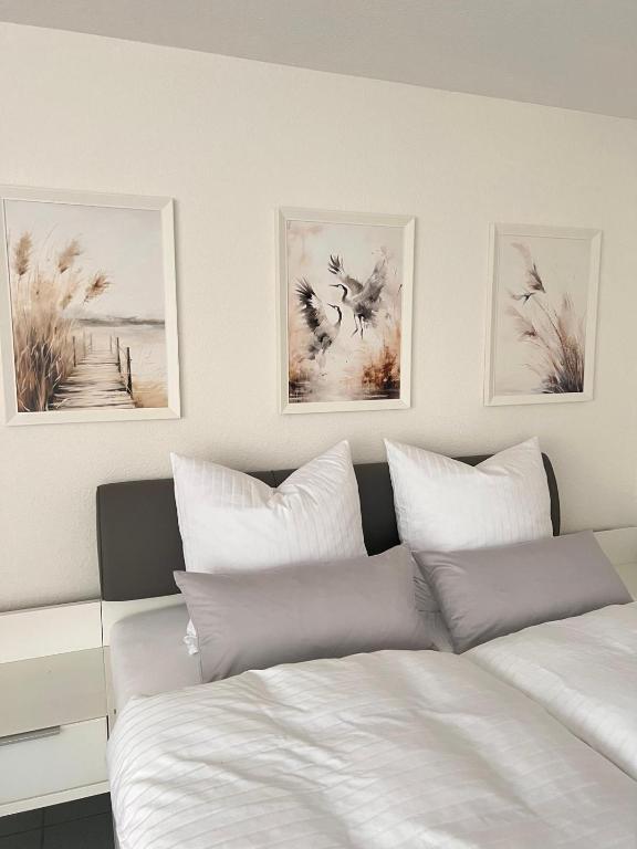 Ferienwohnung SeeNest - B&B Allensbach