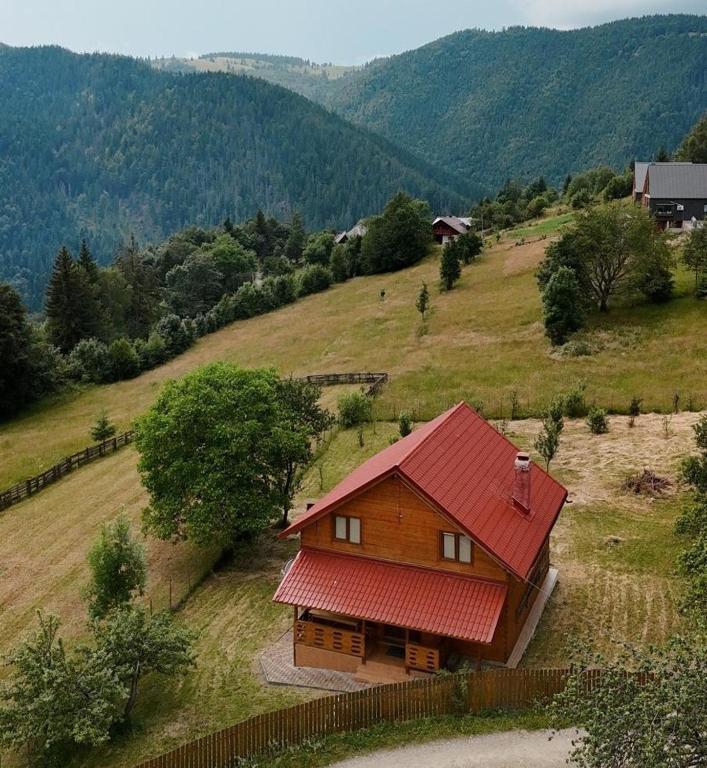 Apuseni Wood House - Bed and Breakfast Mătișești