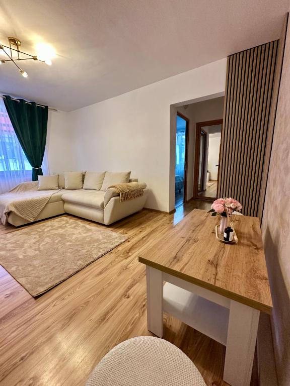 Cozy Apartment D&D - Bed and Breakfast Topliţa