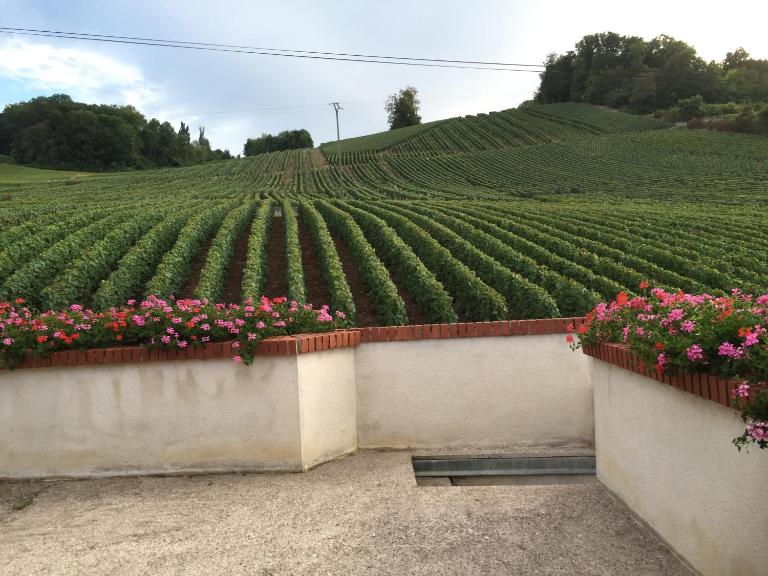 La Loge Du Vigneron - B&B Vauciennes