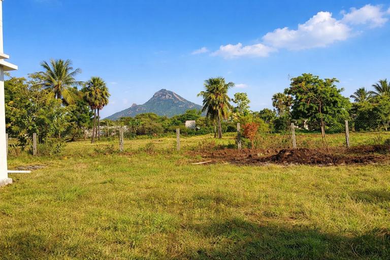 Tiru Arunachala - Peaceful Countryside Homestay - B&B Tiruvannamalai