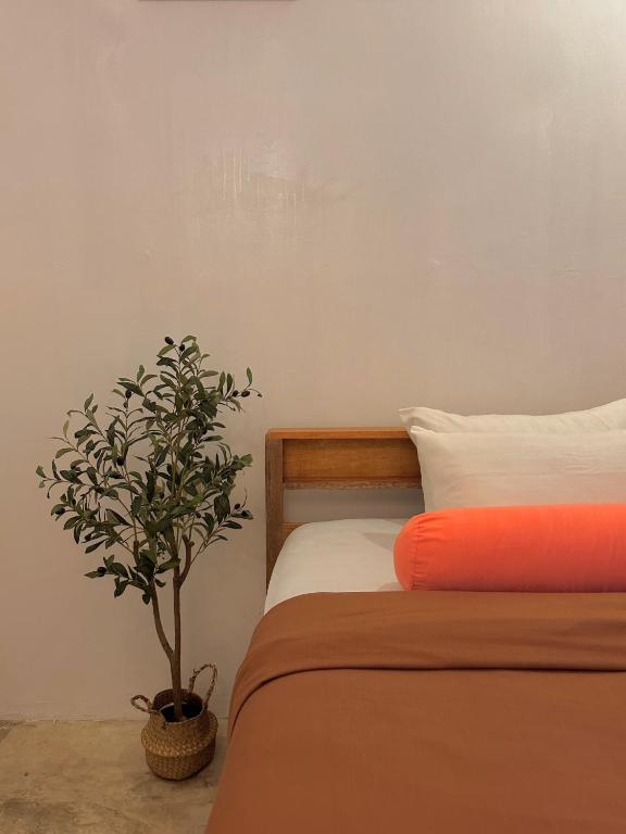 Akap Homestay- CRGDR - Chambres d'hôtes General Luna