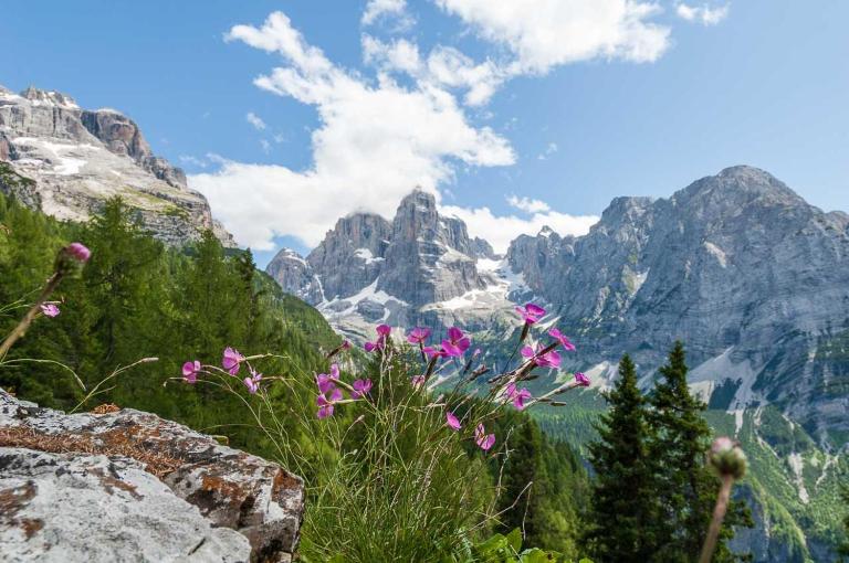 Appartamento Brenta - Chambres d'hôtes Stenico