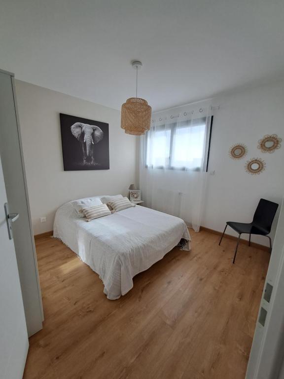 Chambres 24h & GP Moto - B&B La Bazoge