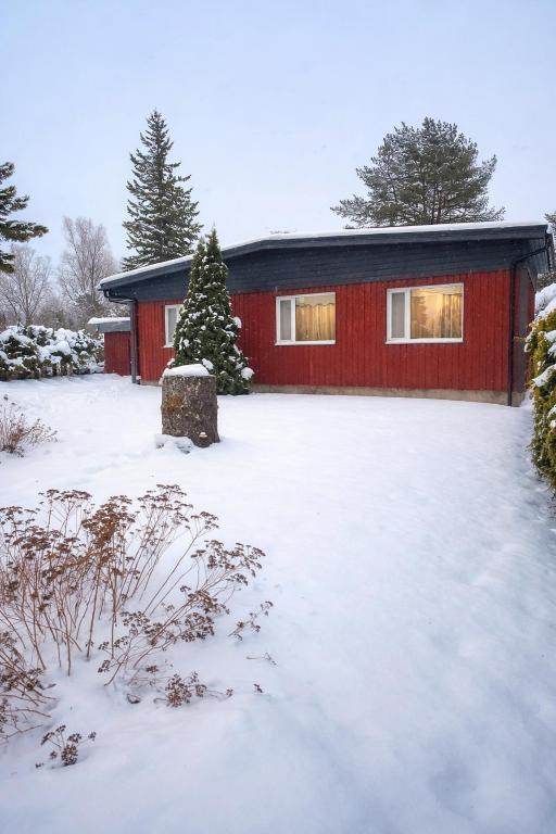 Puhkepesa 6 - Bed and Breakfast Otepää
