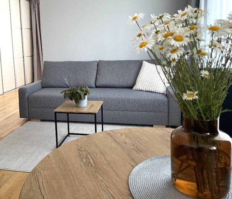 Šiaulių centre modernus butas 1-4 žmonėms - B&B Šiauliai