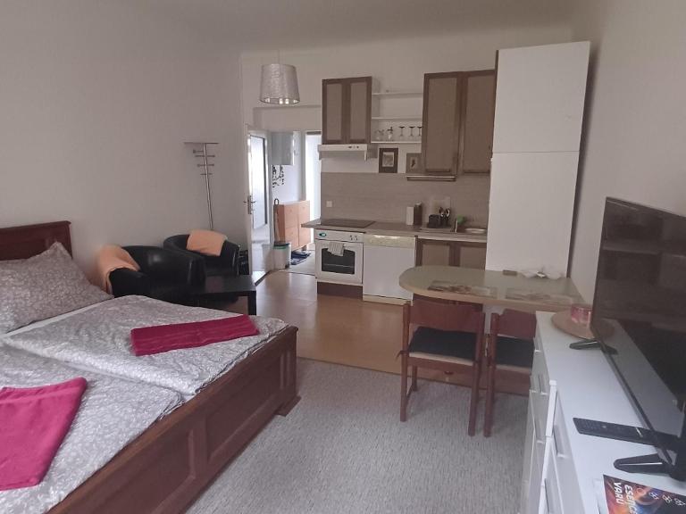 Ap 4 Alice suite near Vřídlo Collonade - B&B Karlovy Vary