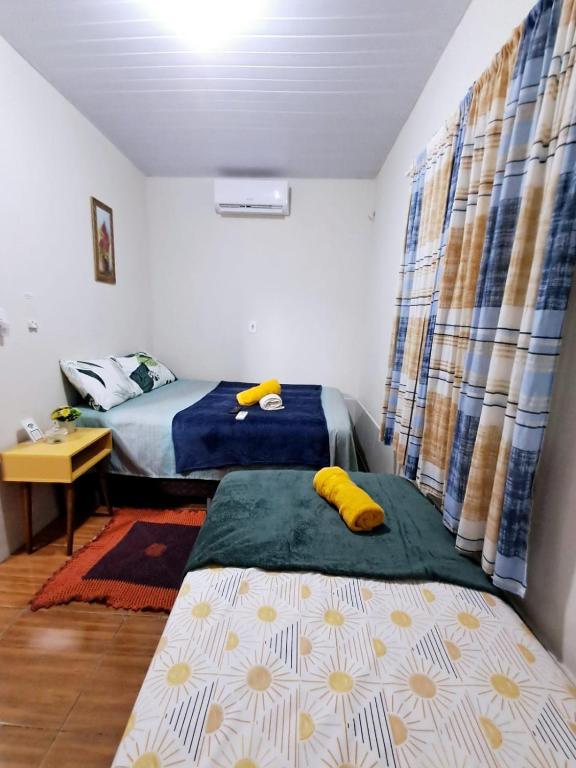 aguapé 1 - B&B Barreirinhas