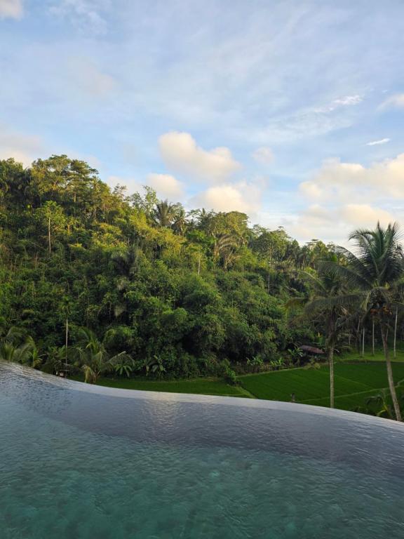 The Tirta Sari Villas - Ferienwohnung Tegalalang