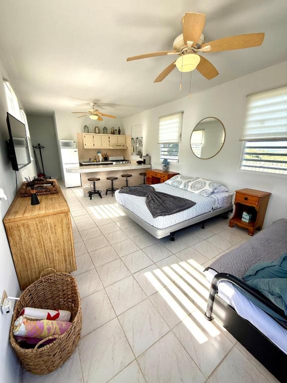 The Stargazer - B&B Rincón