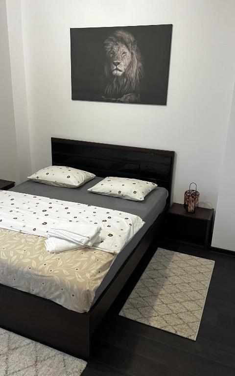 SCC2 Apartments - Ferienwohnung Klausenburg